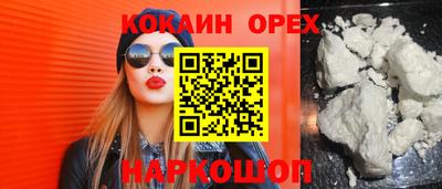 соль ск Сланцы