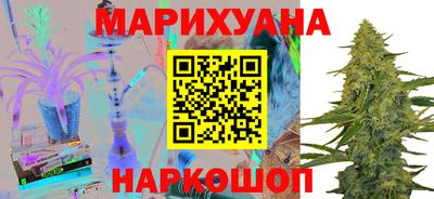 гидра Славгород