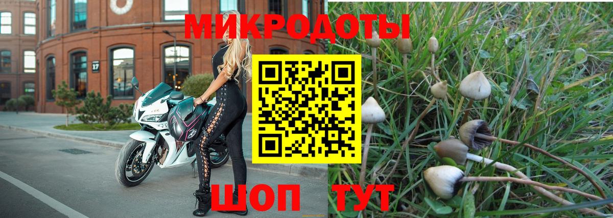 Кыштым  Галлюциногенные грибы GOLDEN TEACHER  Вход с VPN 